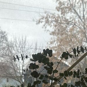 Meet your Posher, Bushra